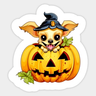 Chihuahua Dog inside Pumpkin #1 Sticker